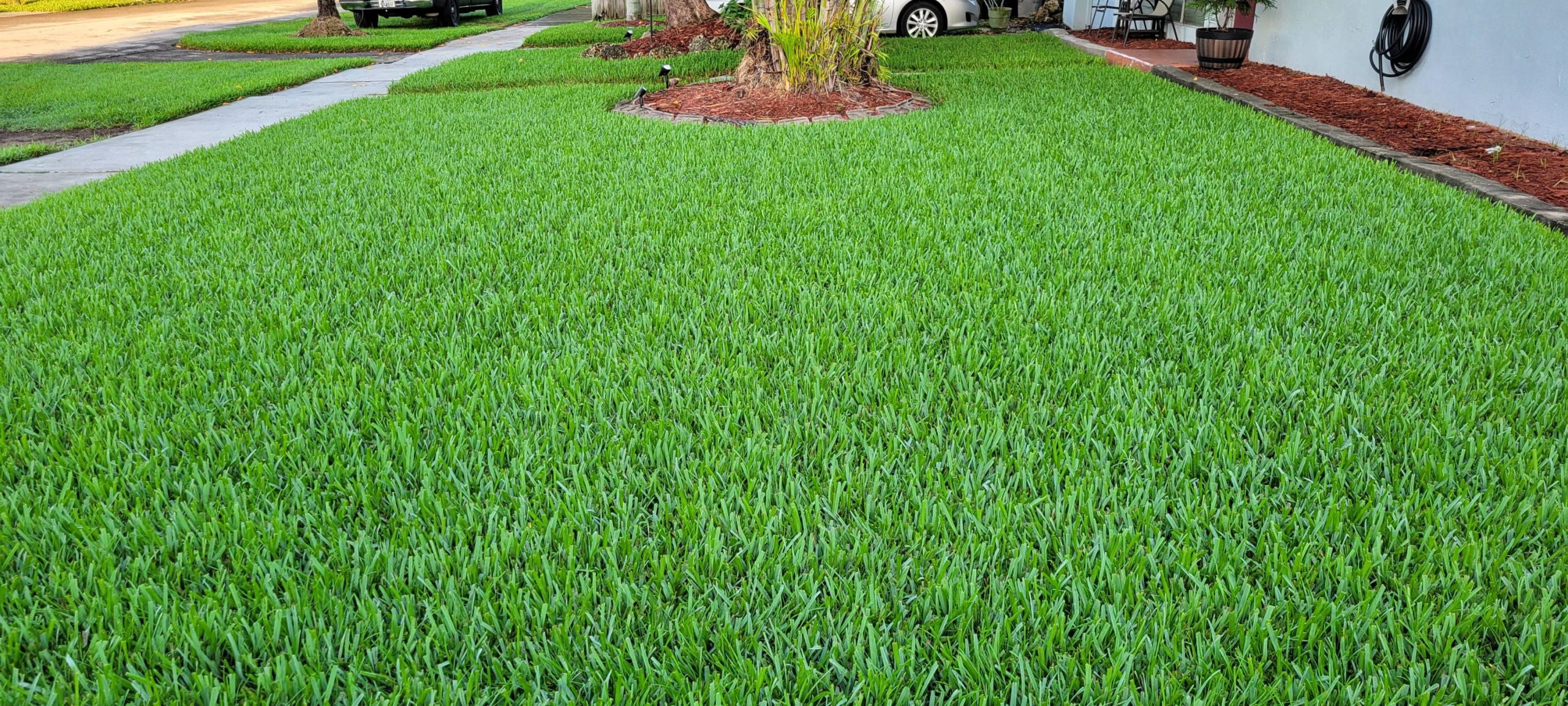 lawn5