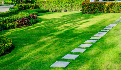 lawn6